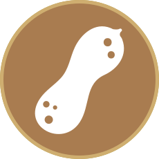 Penut Allergen Icon