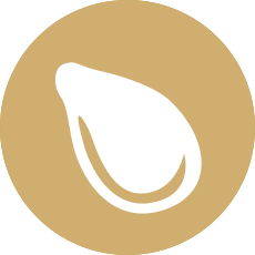 Sesame Allergen Icon