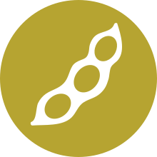 Soy Allergen Icon