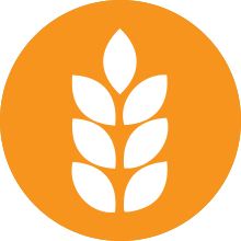Wheat Allergen Icon